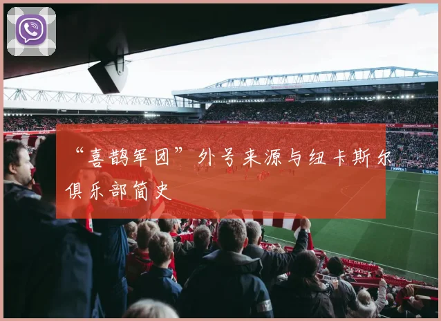 “喜鹊军团”外号来源与纽卡斯尔俱乐部简史