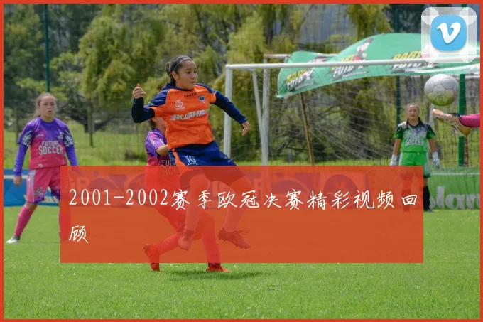 2001-2002赛季欧冠决赛精彩视频回顾