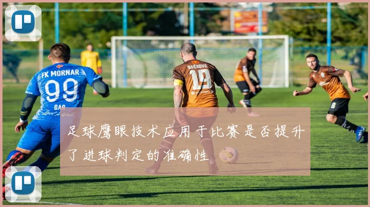 足球鹰眼技术应用于比赛是否提升了进球判定的准确性